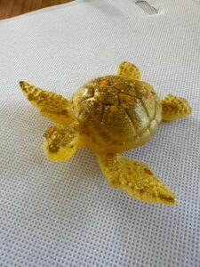 tortue jaune