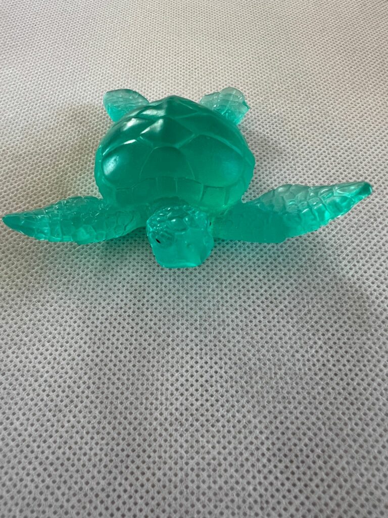 tortue bleu